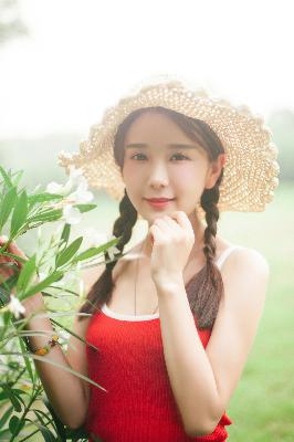 山月不知心底事电视剧免费观看