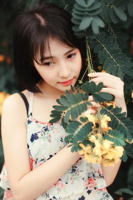 师兄啊师兄动漫全集免费观看